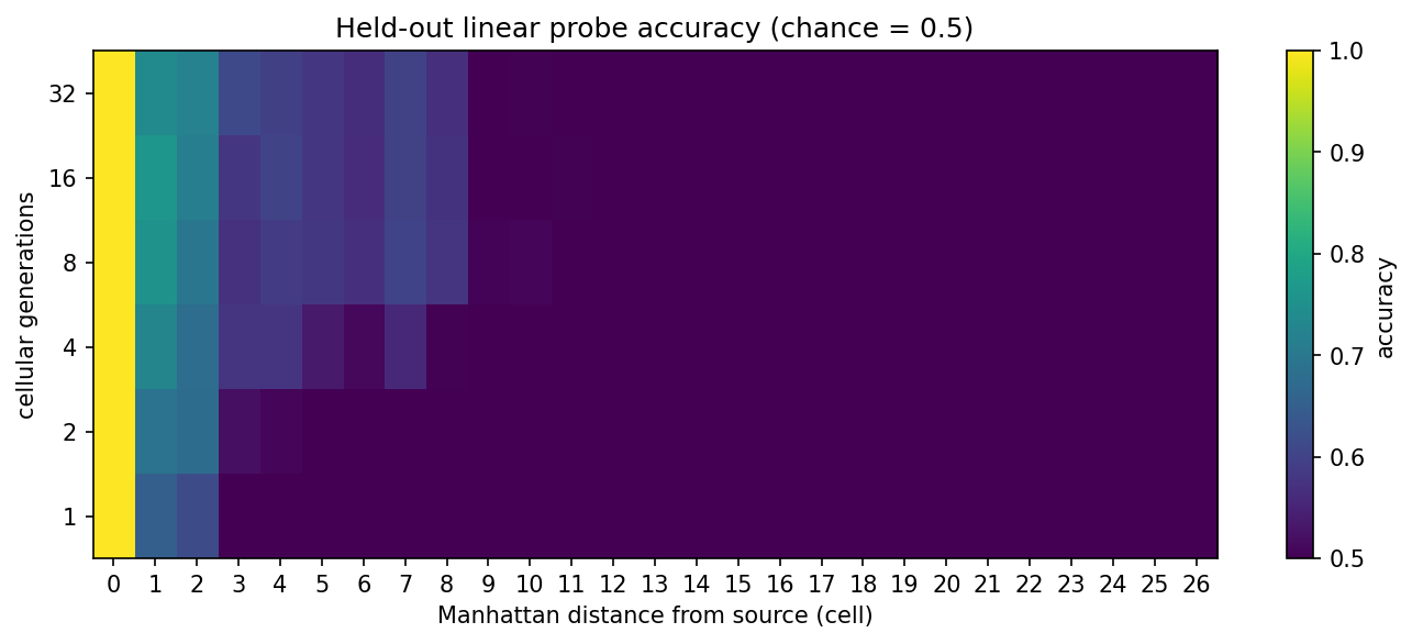held-out source-character probe accuracy by Manhattan distance and cellular generation; distant cells remain at chance